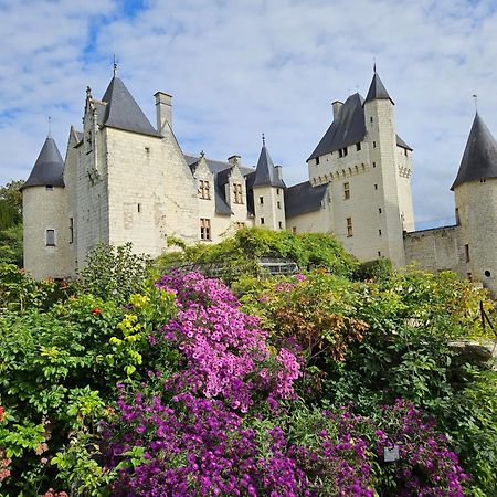 Апартаменты Pavillon En Touraine Savonnieres Экстерьер фото